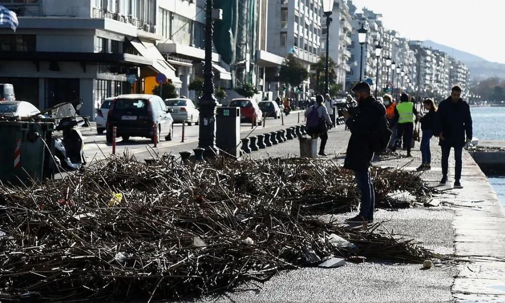 Θεσσαλονίκη: Καλάμια και σκουπίδια ξέβρασε ο Θερμαϊκός (βίντεο)